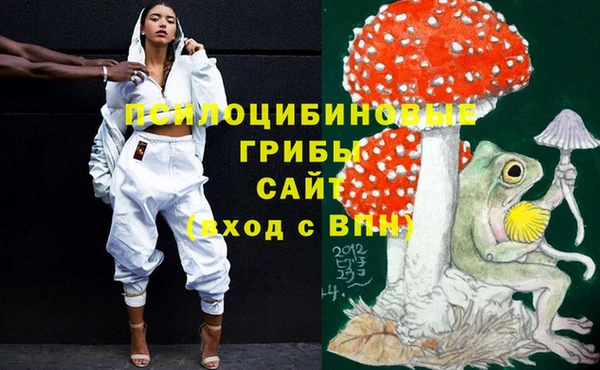 PSILOCYBIN Березники