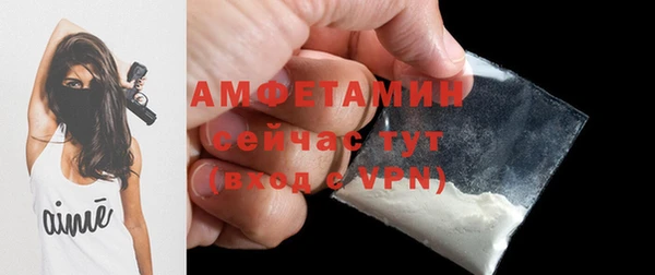 молекула духа Нязепетровск