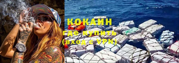 дмт Няндома