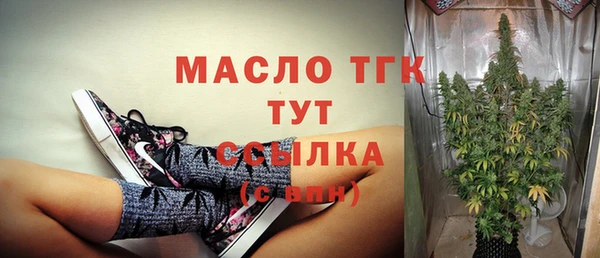 дмт Няндома