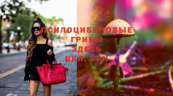 дмт Няндома